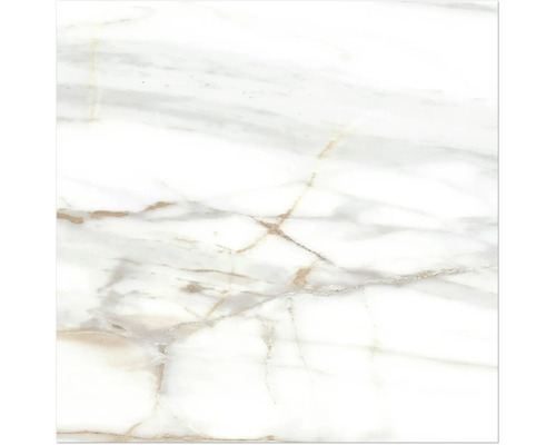 MIRAVA Feinsteinzeug Wand- und Bodenfliese LUCCA Bianco gold pol. 60 x 60 x 0,9 cm rektifiziert