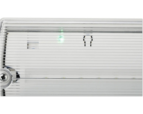 Detailansicht einer LED Notleuchte mit transparenter Abdeckung