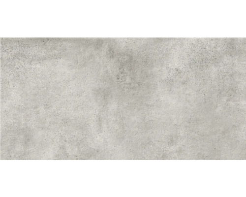 Feinsteinzeug Wand- und Bodenfliese BORIDO hellgrau 29,8 x 59,8 x 0,8 cm matt rektifiziert
