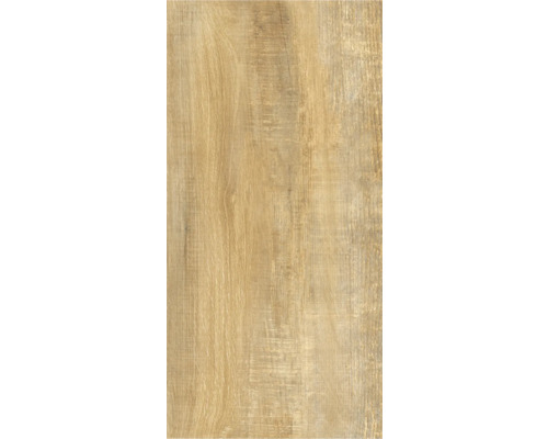 form & style Feinsteinzeug Wand- und Bodenfliese FORLI honey 31 x 62 x 0,74 cm