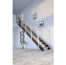 Pertura Wangentreppe Libra Eiche ohne Setzstufen Pulverbeschichtet Seitenwange Schwarz gerade 87 cm 10 Stufen / 11 Steigungen Stabgeländer