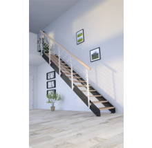 Raumansicht einer Treppe mit Metallgeländer, Holzstufen und Wanddekorationen