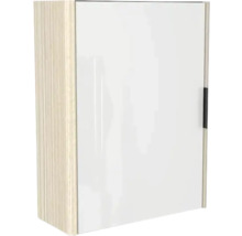 Medizinschrank mit einer Tür und einem Griff