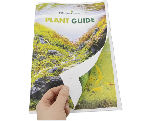 Dennerle Plants Pflanzenratgeber