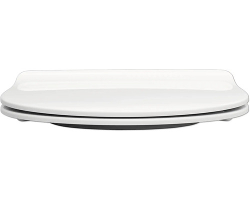 Toilettendeckel aus Sanitärkeramik