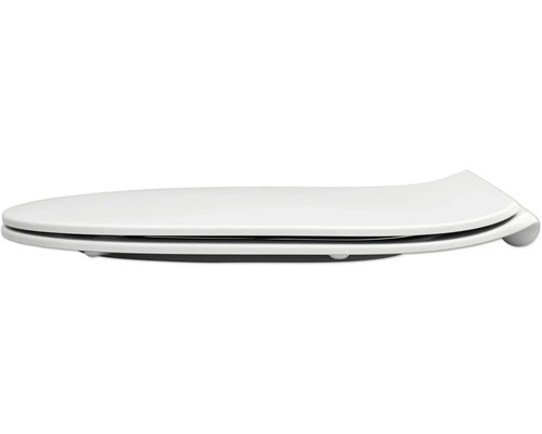 Toilettendeckel aus Kunststoff