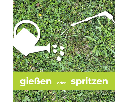 Symbolbild: Gießen oder Spritzen auf Rasenfläche