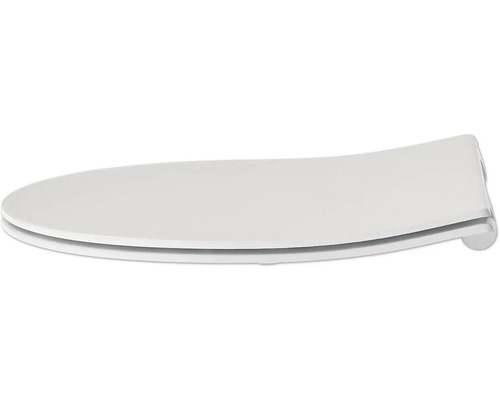 Toilettendeckel aus Kunststoff