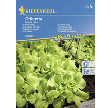 Kiepenkerl Grünetta Pflücksalat Samenpackung