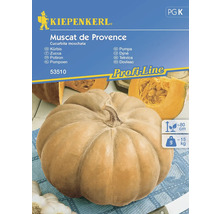 Kiepenkerl Muscat de Provence Kürbis Samenpackung