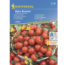 Kiepenkerl Baby Boomer Kirschtomaten-Samenpackung