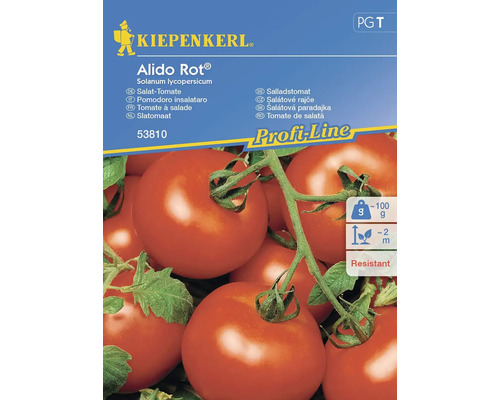 Tomate Kiepenkerl Gemüsesamen