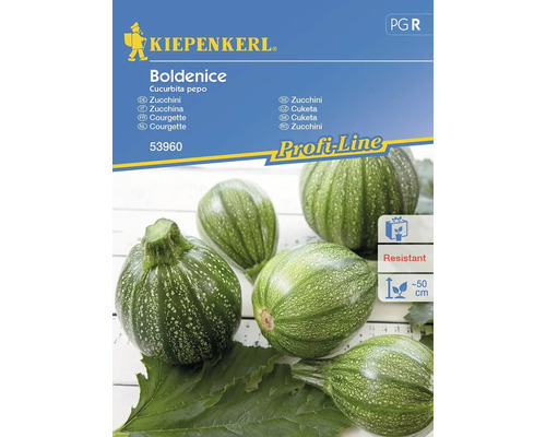 Zucchini Boldenice, F1 Kiepenkerl Hybrid-Saatgut Gemüsesamen