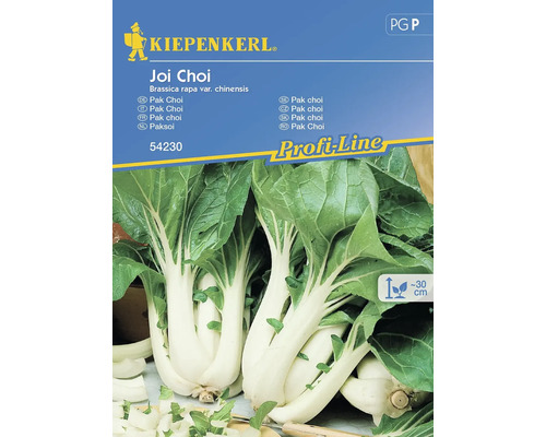 Pak Choi Kiepenkerl Gemüsesamen