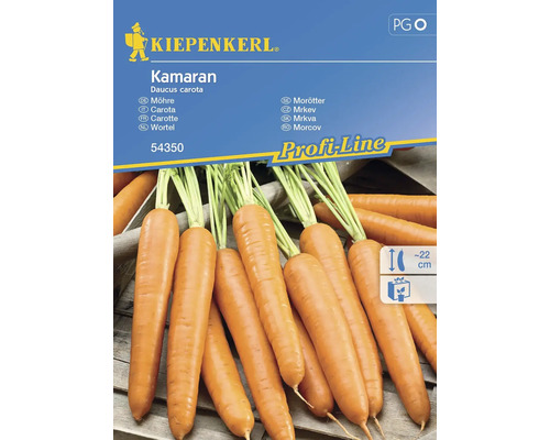 Möhre/ Karotte Kamaran Kiepenkerl Hybrid-Saatgut Gemüsesamen, Herbstmöhren