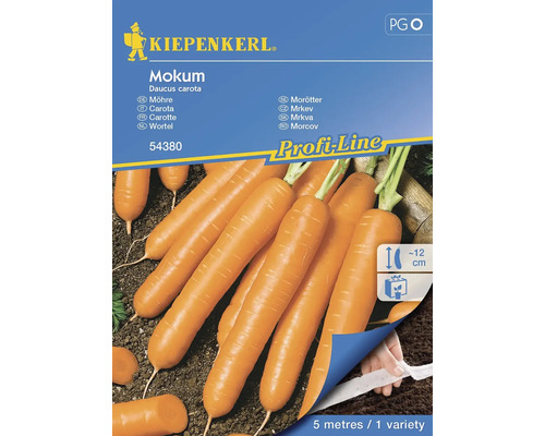 Karotte Mokum Kiepenkerl Hybrid-Saatgut Gemüsesamen, Saatband