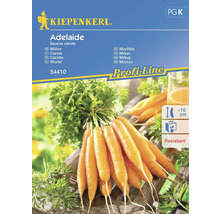 Kiepenkerl Adelaide Möhre Saatgutpackung