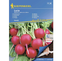 Kiepenkerl Lucia Radieschensamen