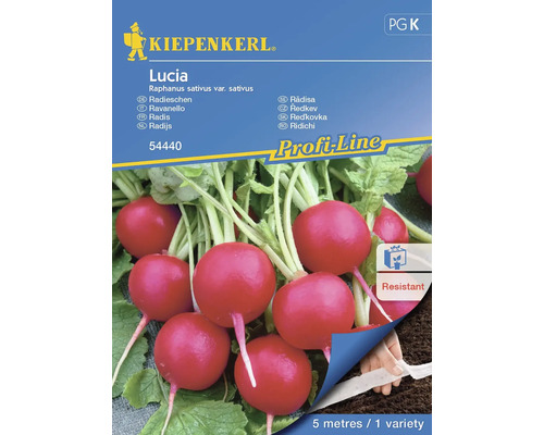 Radieschen Lucia Kiepenkerl Hybrid-Saatgut Gemüsesamen, Saatband