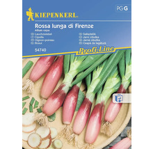 Kiepenkerl Lauchzwiebel Rossa Lunga di Firenze Samenpackung