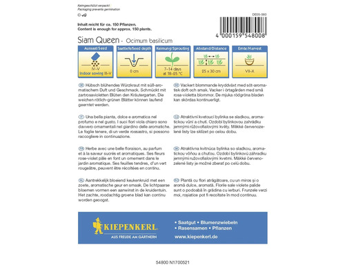 Samenpackung Siam Queen Basilikum mit Anweisungen zu Aussaat, Saattiefe, Keimung, Abstand und Ernte