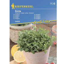 Oregano Kreta, Griechischer Oregano Kiepenkerl Profi Line Samenfestes Saatgut Kräutersamen