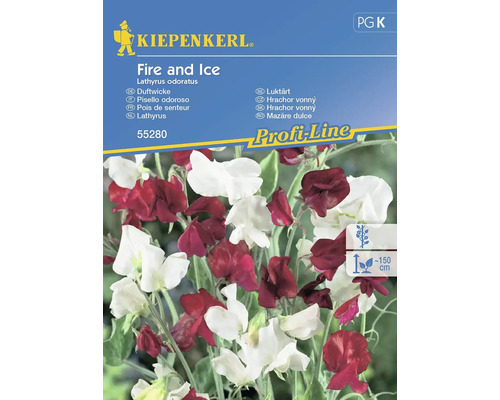 Duftwicke Fire and Ice Kiepenkerl Samenfestes Saatgut Blumensamen