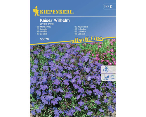 Männertreu Kaiser Wilhelm Kiepenkerl Samenfestes Saatgut Blumensamen
