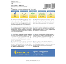 Samenpackung der Giganta Lampionblume