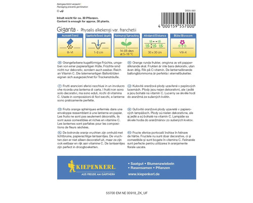 Samenpackung der Giganta Lampionblume