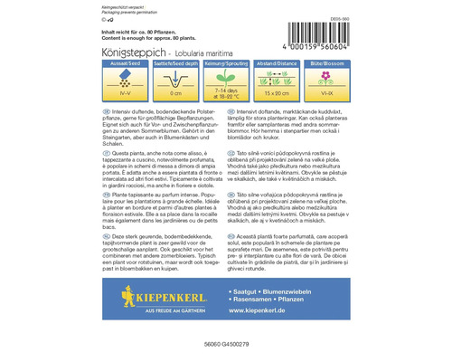 Samenpackung Königsteppich Lobularia maritima