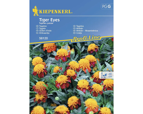 Großblütige Studentenblume Tiger Eyes Kiepenkerl Samenfestes Saatgut Blumensamen