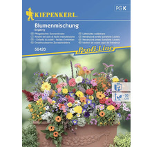 Kiepenkerl Blumensamenmischung einjährig für pflegeleichte Sonnenkinder