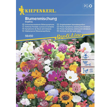 Kiepenkerl Blumenmischung, einjährige, schneckenresistente Blütensymphonie