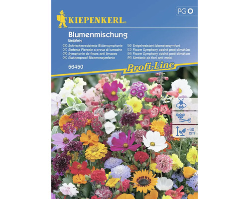 Blumenmischung Sommerblumen einjährig Kiepenkerl Blumensamen für ca. 2 m²