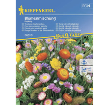 Kiepenkerl Blumensamenmischung für trockene Standorte