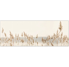 Küchenrückwand mySpotti Profix Seebi Seegras 160 x 60 cm PX-16060-1838-HB
