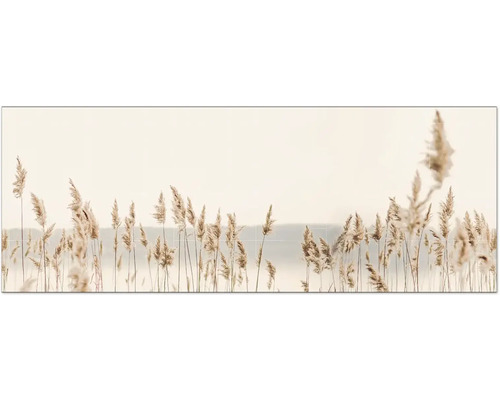 Küchenrückwand mySpotti Profix Seebi Seegras 160 x 60 cm PX-16060-1838-HB Küchenrückwand mySpotti Profix Seebi Seegras 160 x 60 cm PX-16060-1838-HB