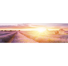 Panoramaaufnahme eines Lavendelfeldes bei Sonnenaufgang mit den Ruinen eines Steingebäudes