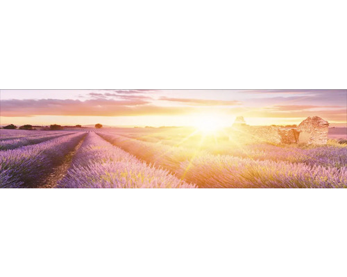 Küchenrückwand mySpotti Profix Provence Lavendelfeld 210 x 60 cm PX-210600-1889-HB Küchenrückwand mySpotti Profix Provence Lavendelfeld 210 x 60 cm PX-210600-1889-HB