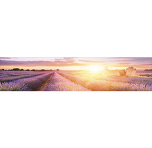 Küchenrückwand mySpotti Profix Provence Lavendelfeld 270 x 60 cm PX-27060-1889-HB