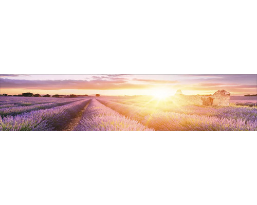 Küchenrückwand mySpotti Profix Provence Lavendelfeld 270 x 60 cm PX-27060-1889-HB Küchenrückwand mySpotti Profix Provence Lavendelfeld 270 x 60 cm PX-27060-1889-HB