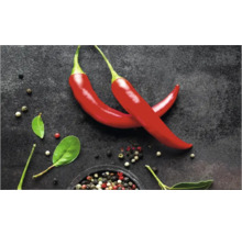 Zwei rote Chilischoten mit Pfefferkörnern und Blättern