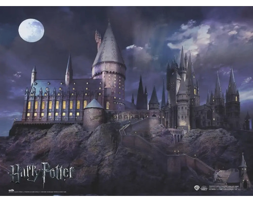 Decopanel Harry Potter 90x60 cm