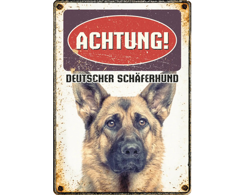 Blechschild Deutscher Schäferhund 15x21 cm
