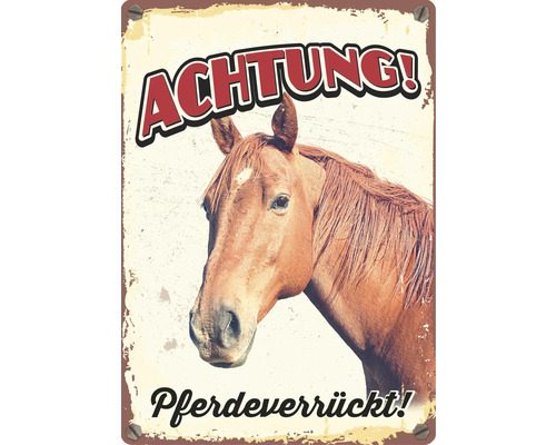 Metallschild mit Pferde Motiv und dem Schriftzug Achtung! Pferdeverrückt!