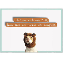 Illustration eines Hundes mit Löwenmähne und dem Spruch: Fehlt nur noch das Zelt, dann wäre der Zirkus hier komplett.