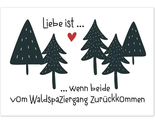 Liebe Ist Wenn Beide Vom Waldspaziergang Zurückkommen