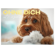 Grußkarte mit Hund und dem Text Ohne Dich ist''s irgendwie doof!