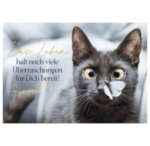 Motivationskarte mit Katze und Schmetterling